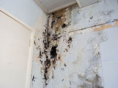 About StreamNest Team - water damage restoration experts in Victorville
